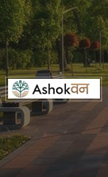 Case Study Thumbnail